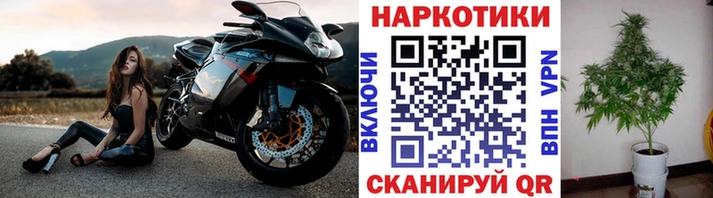 Как найти закладки Киселёвск Марихуана  Меф мяу мяу  COCAIN  АМФЕТАМИН  ГАШИШ 