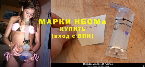 гидра Алексин