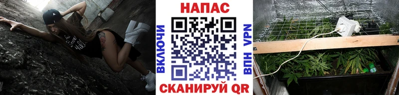 Бошки Шишки Amnesia  Киселёвск 